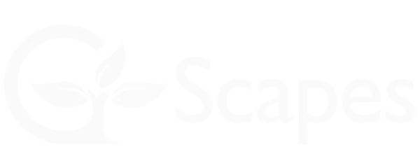 G-Scapes